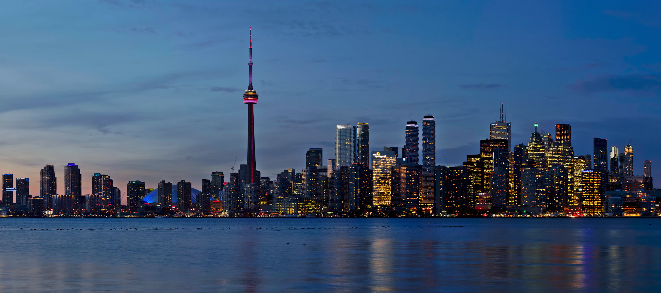 Toronto skyline and CN Tower at night